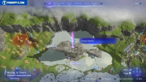 《阿凡达潘多拉边境》塔休幼苗位置汇总 塔休幼苗收集攻略