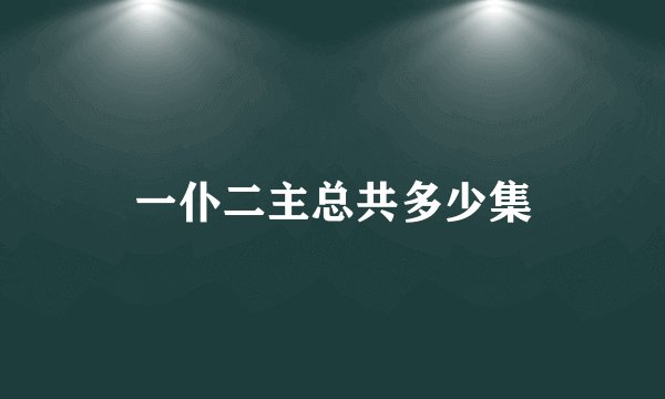 一仆二主总共多少集