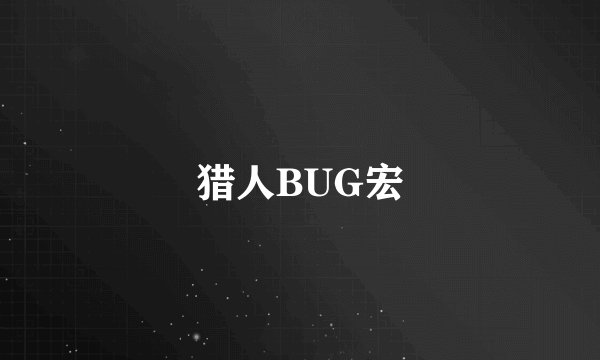 猎人BUG宏