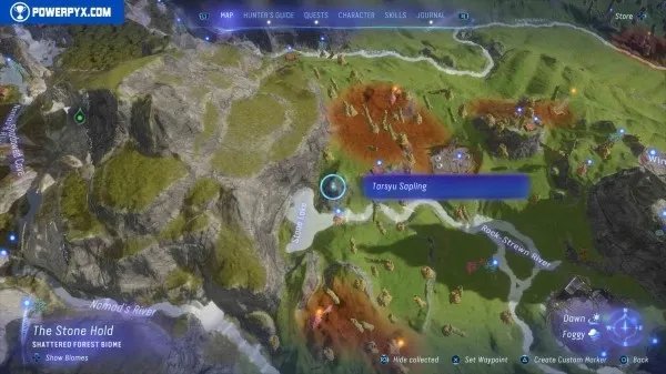 《阿凡达潘多拉边境》塔休幼苗位置汇总 塔休幼苗收集攻略