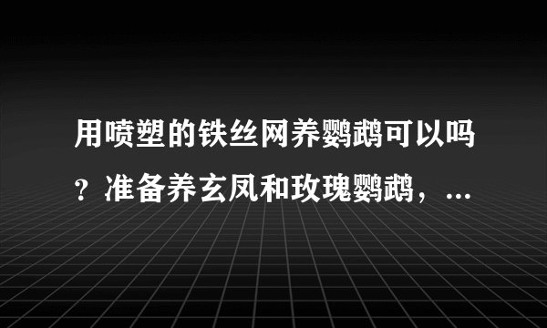 用喷塑的铁丝网养鹦鹉可以吗？准备养玄凤和玫瑰鹦鹉，鹦鹉咬了会有影响吗，会死吗？