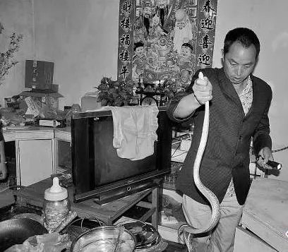 为何家里进的蛇不能打?