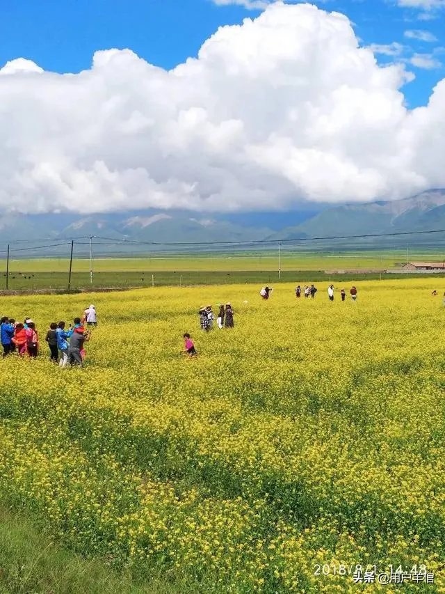 上海奉贤区东端这个镇