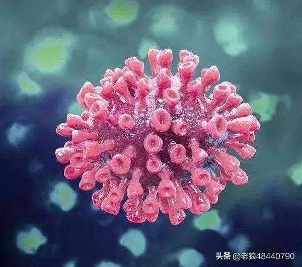 美国这么低的死亡率，会不会存在为了避免恐慌，隐瞒了一些数据？