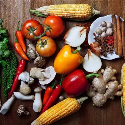 毛冬青叶的功效与作用及禁忌？