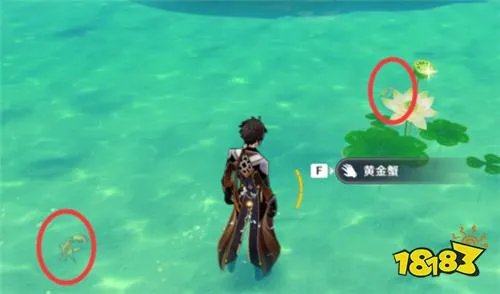 原神黄金蟹在哪里抓 黄金蟹分布位置一览