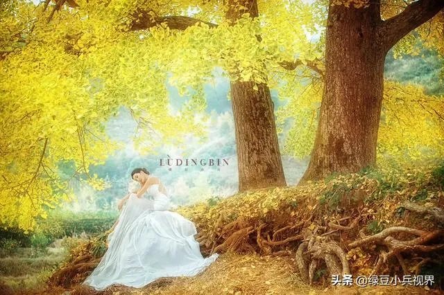 大家喜欢暖色调的照片还是冷色调的？为什么？