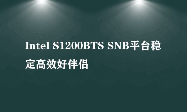 Intel S1200BTS SNB平台稳定高效好伴侣