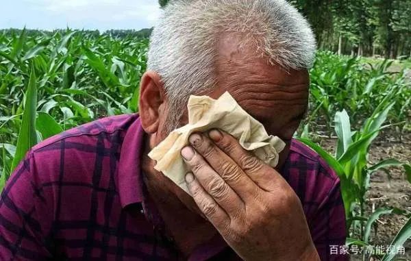 生日奶奶做了一碗长寿面,他却坚持要喂奶奶,没钱吃饭的一家怎么面对血癌?