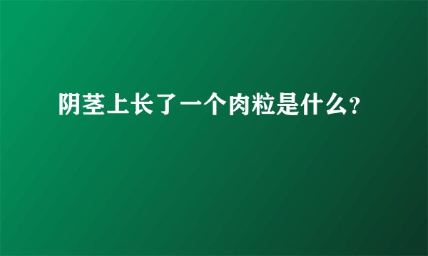 阴茎上长了一个肉粒是什么？