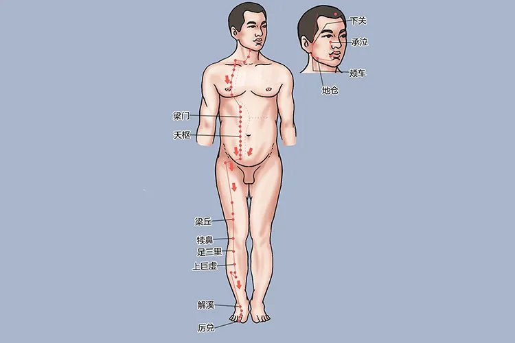 膝盖经络图解大全