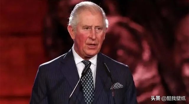 英国查尔斯王子核酸检测为阳性，王子夫人还好吗？你怎么看？