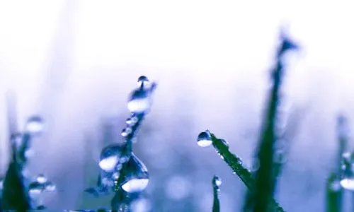 2020高考给孩子的祝福语_祝高考顺利的话精选100句