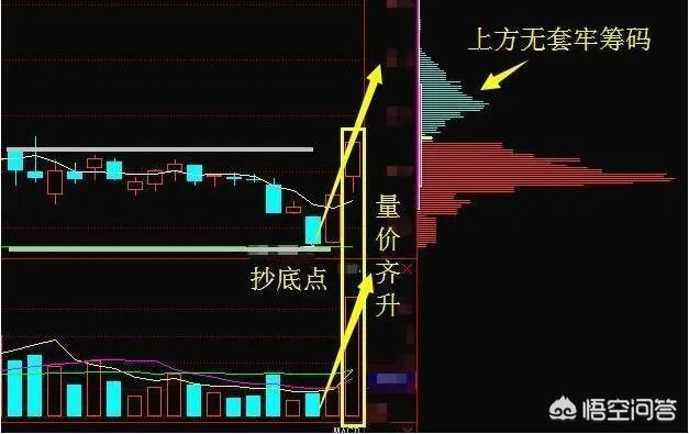 黄有龙的公司，赵薇总是大股东，你会让老婆作为公司的股东吗？为什么？