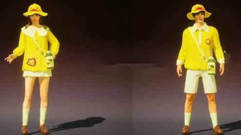 和平精英小黄鸭套装要多少钱