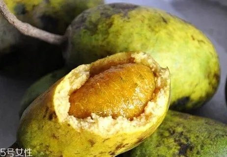 牛卵坨籽可以吃吗？看看它的神奇功效