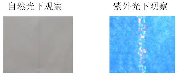 怎么查询发票的真伪?