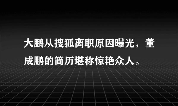 大鹏从搜狐离职原因曝光，董成鹏的简历堪称惊艳众人。