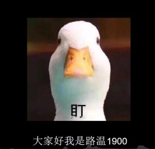 路温1900鸭子是什么梗