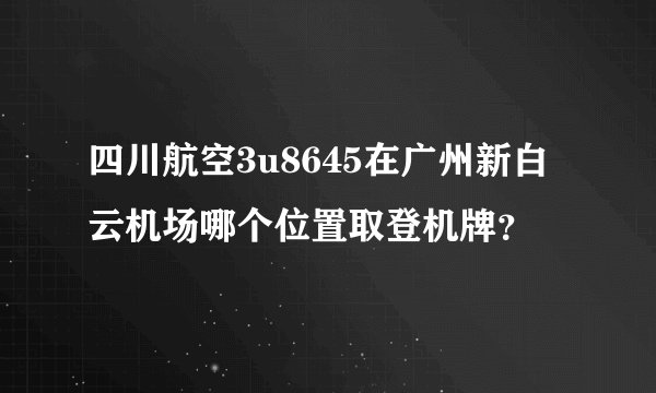 四川航空3u8645在广州新白云机场哪个位置取登机牌？