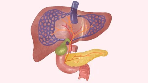 有乙肝可以办健康证吗