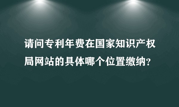 请问专利年费在国家知识产权局网站的具体哪个位置缴纳？