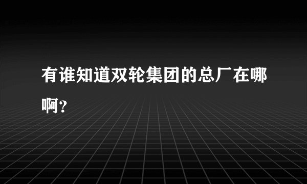 有谁知道双轮集团的总厂在哪啊？