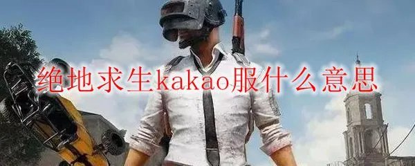 绝地求生kakao服什么意思