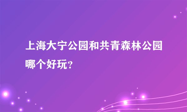 上海大宁公园和共青森林公园哪个好玩？