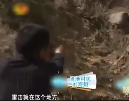 云梦山白蛇渡劫失败被雷劈死：竟被野猪吃掉