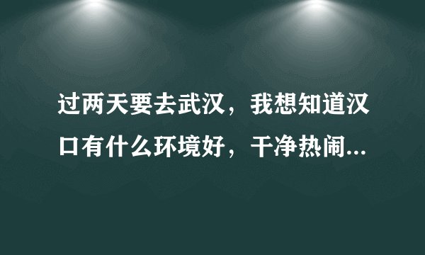 过两天要去武汉，我想知道汉口有什么环境好，干净热闹，有点情调的价格合理的酒店没
