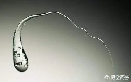 子弹都打不碎的“鲁珀特之泪”为何一捏尾部就碎了?