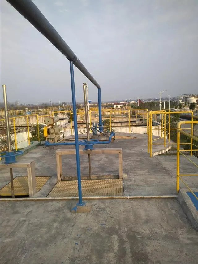 罗斯都经历过哪些伤病？