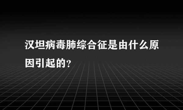 汉坦病毒肺综合征是由什么原因引起的？