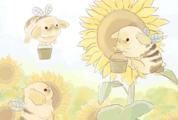 为什么现在有的人总是爱假装勤奋，假装很努力?