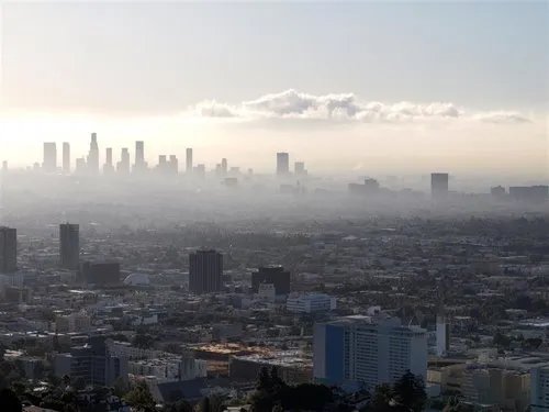 民族药创新看这里  康臣、玉林制药打造核心产品产业链等你来！