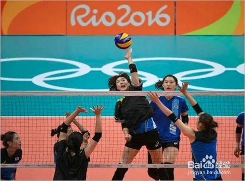 2016里约奥运会女排分组
