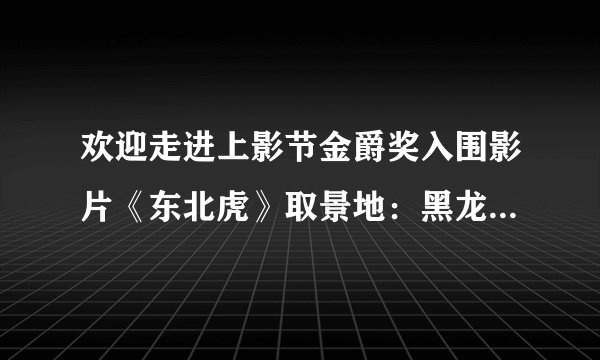 欢迎走进上影节金爵奖入围影片《东北虎》取景地：黑龙江鹤岗！