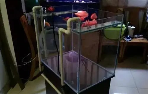 鱼缸水泵要一直开着吗