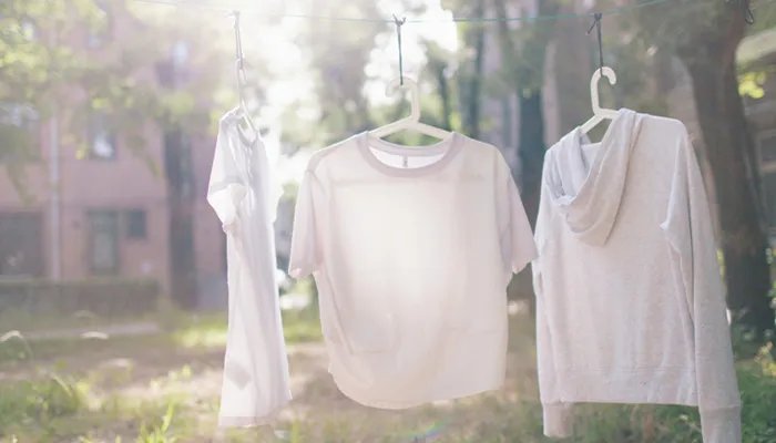 黛梦思是哪个国家的品牌 黛梦思是做什么产品的