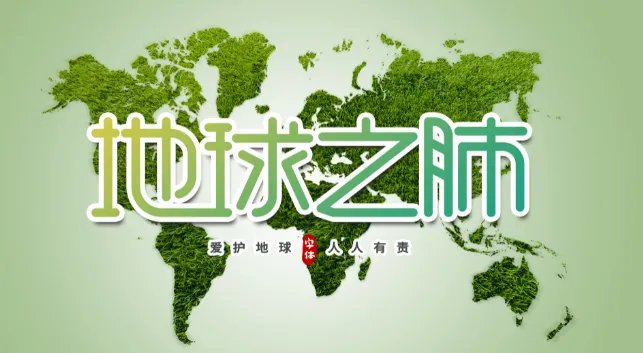 世界环境日的介绍