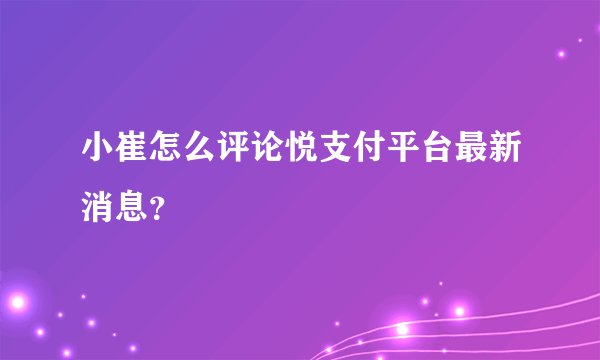 小崔怎么评论悦支付平台最新消息？