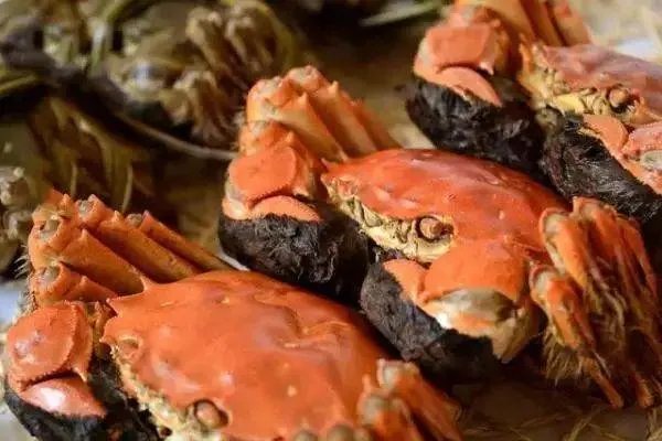 长沙哪里有好吃的大闸蟹？