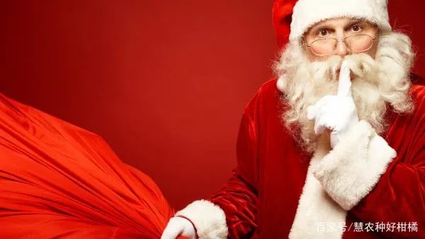 圣诞节跟狗狗一起怎么庆祝度过呢？