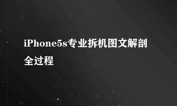 iPhone5s专业拆机图文解剖全过程