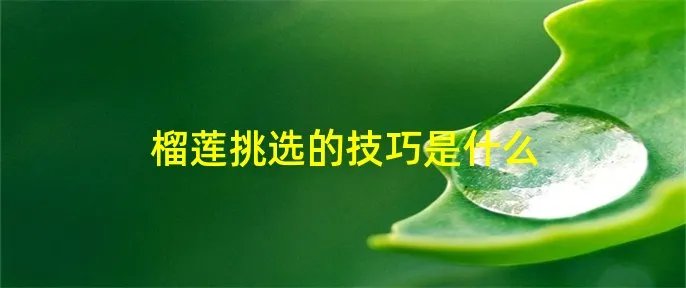 榴莲挑选的技巧是什么