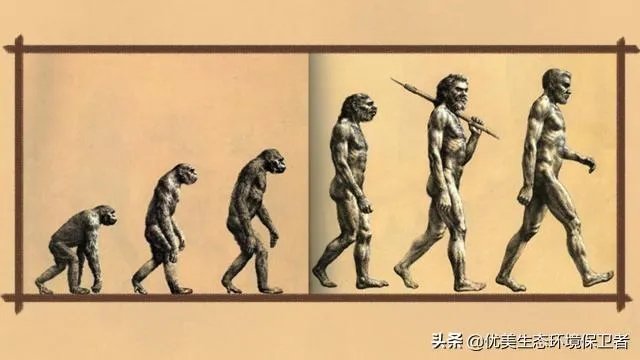 如果达尔文的进化论是正确的,人类最后会进化成什么模样?