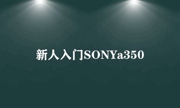 新人入门SONYa350