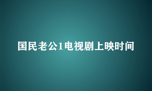国民老公1电视剧上映时间