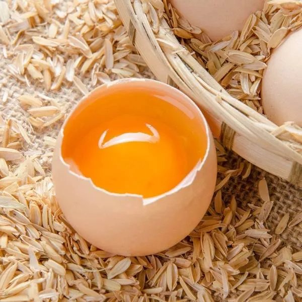 2020年9月份鸡蛋价格将会继续上涨吗？